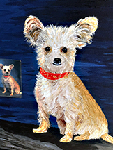 Charlie - pet portrait by John-Norman Tuck