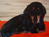 pet portrait by John-Norman Tuck
