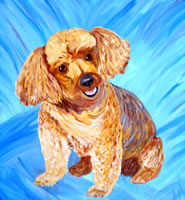 pet portrait by John-Norman Tuck
