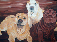 pet portrait by John-Norman Tuck